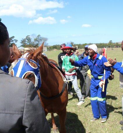 Traditional Horse Racing Events